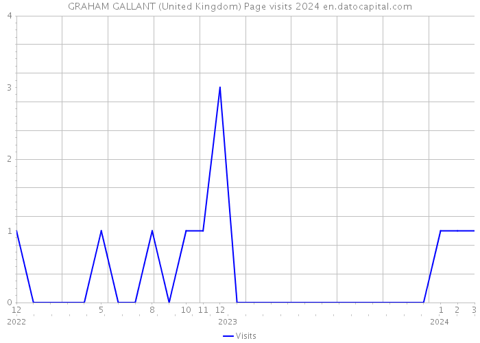 GRAHAM GALLANT (United Kingdom) Page visits 2024 