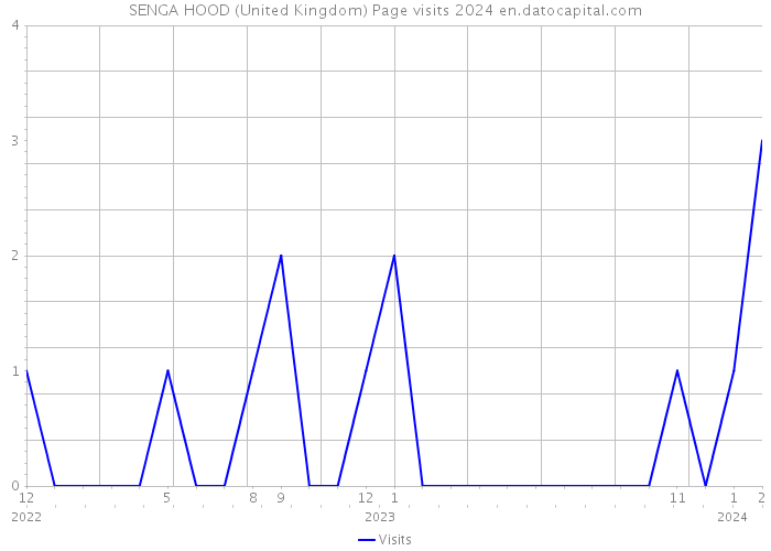 SENGA HOOD (United Kingdom) Page visits 2024 