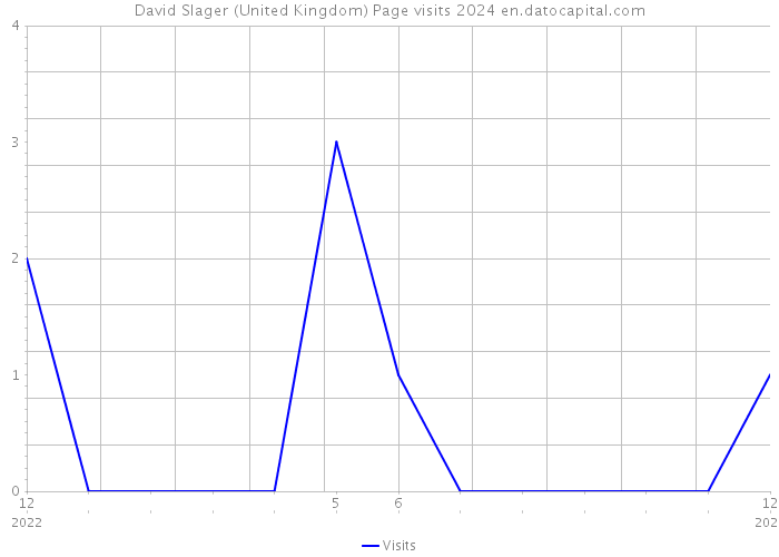 David Slager (United Kingdom) Page visits 2024 