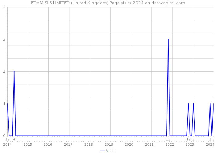 EDAM SLB LIMITED (United Kingdom) Page visits 2024 