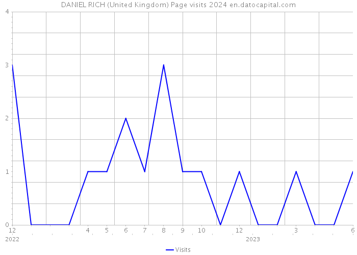 DANIEL RICH (United Kingdom) Page visits 2024 
