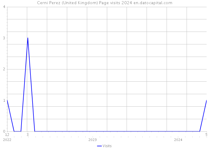 Cerni Perez (United Kingdom) Page visits 2024 