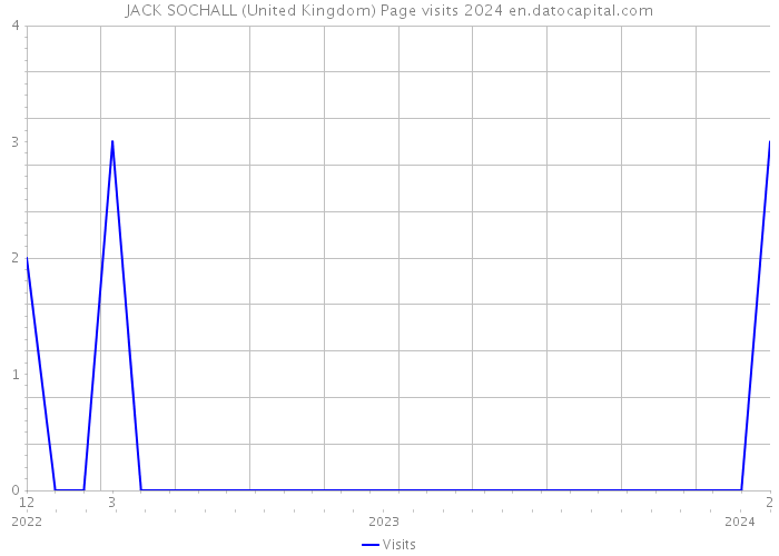 JACK SOCHALL (United Kingdom) Page visits 2024 