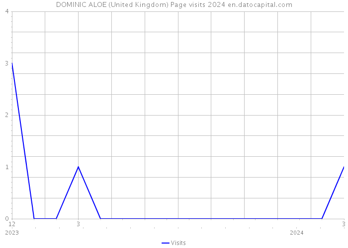 DOMINIC ALOE (United Kingdom) Page visits 2024 