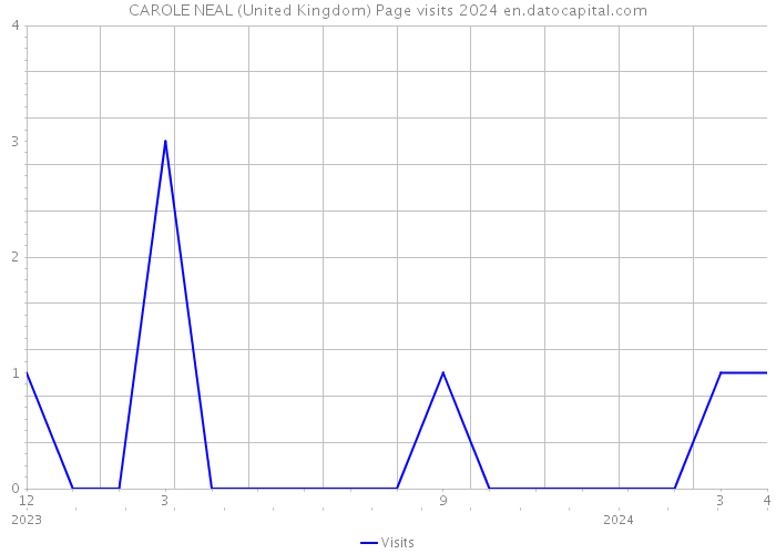 CAROLE NEAL (United Kingdom) Page visits 2024 