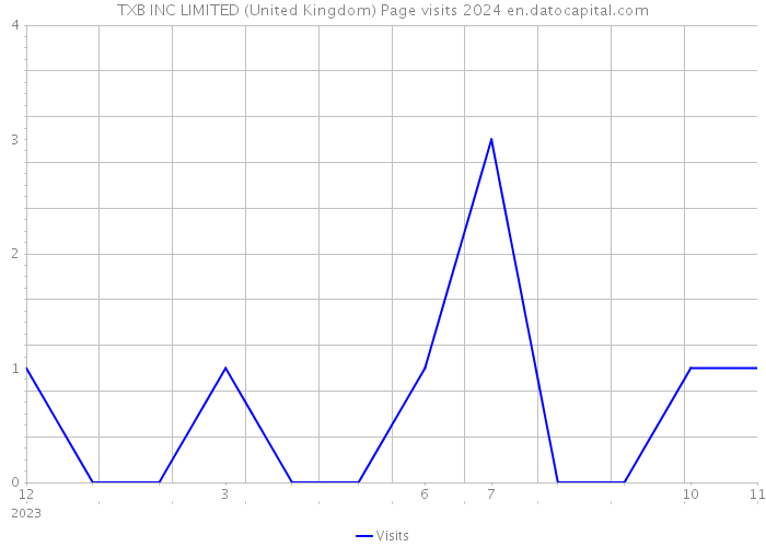TXB INC LIMITED (United Kingdom) Page visits 2024 