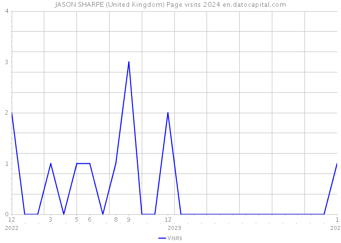 JASON SHARPE (United Kingdom) Page visits 2024 