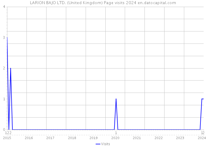LARION BAJO LTD. (United Kingdom) Page visits 2024 