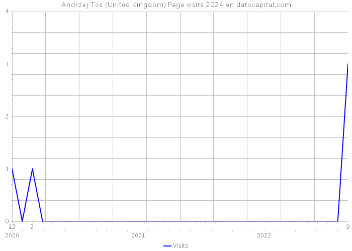 Andrzej Tos (United Kingdom) Page visits 2024 