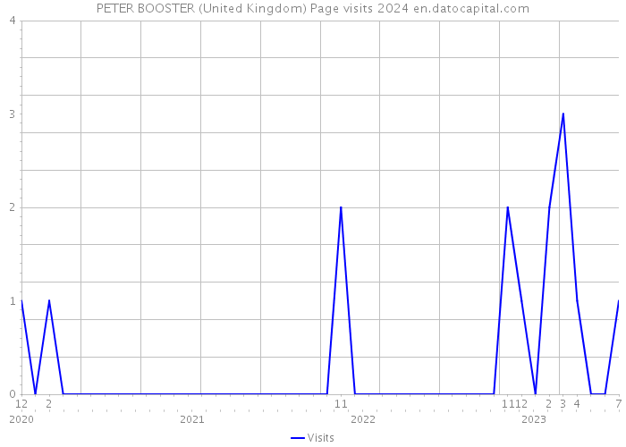 PETER BOOSTER (United Kingdom) Page visits 2024 