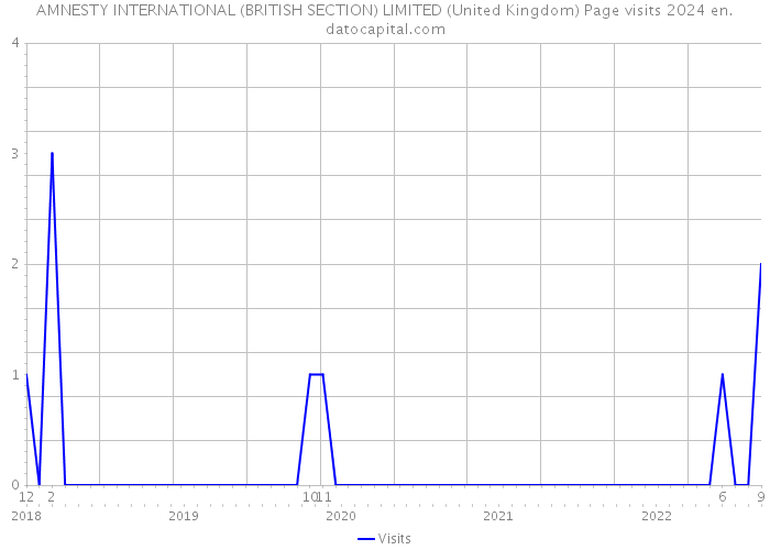 AMNESTY INTERNATIONAL (BRITISH SECTION) LIMITED (United Kingdom) Page visits 2024 