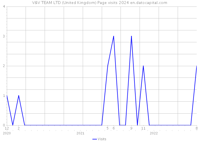 V&V TEAM LTD (United Kingdom) Page visits 2024 