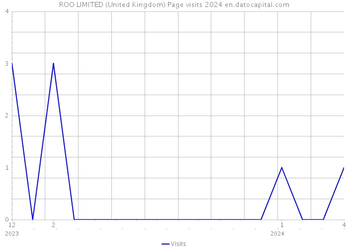 ROO LIMITED (United Kingdom) Page visits 2024 