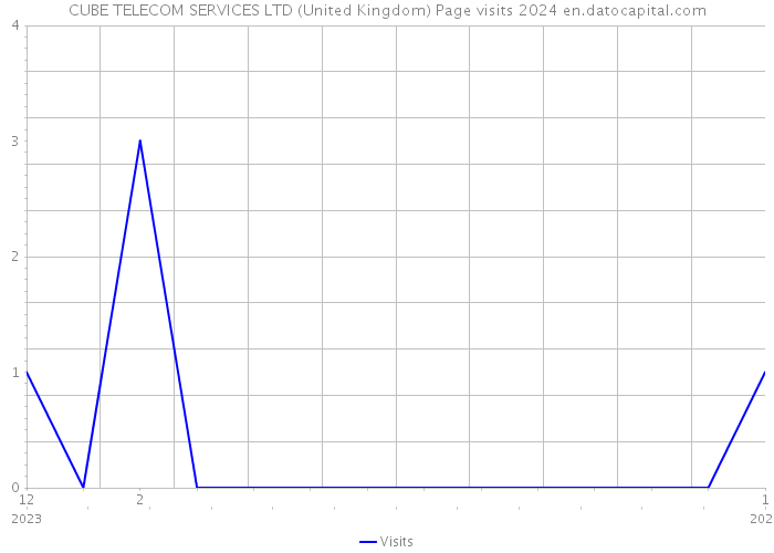 CUBE TELECOM SERVICES LTD (United Kingdom) Page visits 2024 