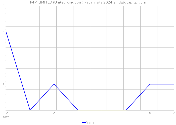 P4M LIMITED (United Kingdom) Page visits 2024 