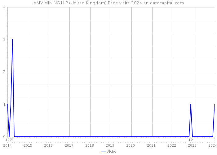 AMV MINING LLP (United Kingdom) Page visits 2024 