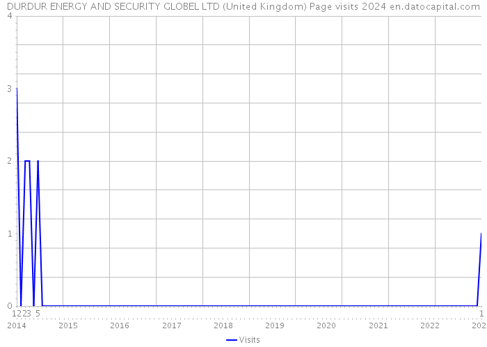 DURDUR ENERGY AND SECURITY GLOBEL LTD (United Kingdom) Page visits 2024 