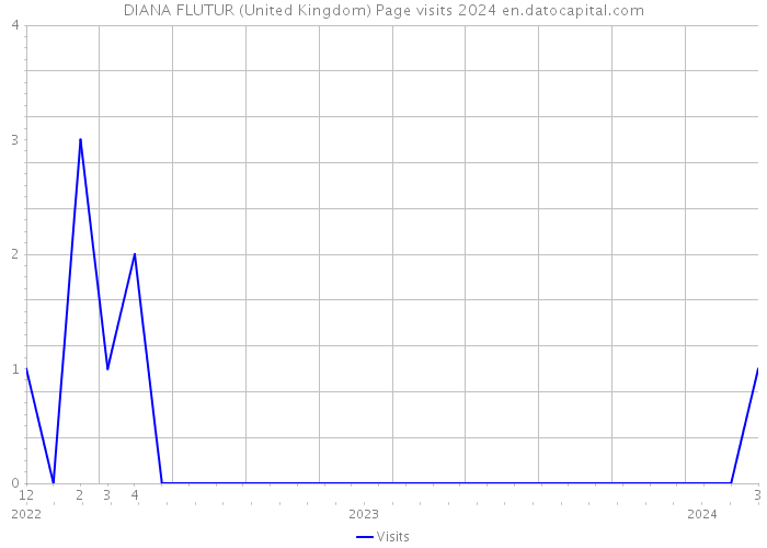 DIANA FLUTUR (United Kingdom) Page visits 2024 