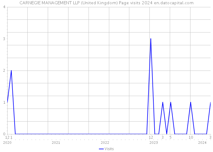 CARNEGIE MANAGEMENT LLP (United Kingdom) Page visits 2024 