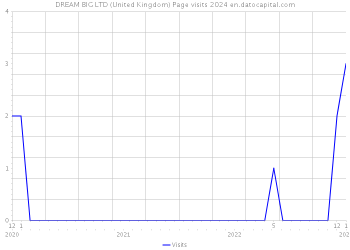 DREAM BIG LTD (United Kingdom) Page visits 2024 