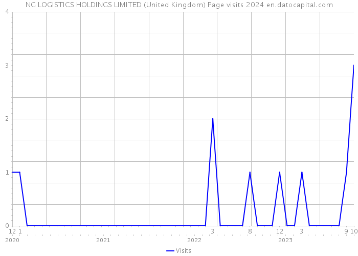 NG LOGISTICS HOLDINGS LIMITED (United Kingdom) Page visits 2024 