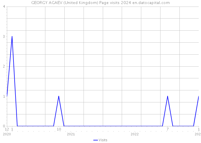 GEORGY AGAEV (United Kingdom) Page visits 2024 
