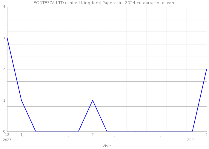 FORTEZZA LTD (United Kingdom) Page visits 2024 
