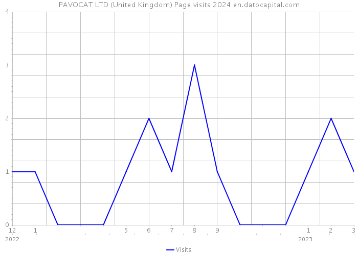 PAVOCAT LTD (United Kingdom) Page visits 2024 