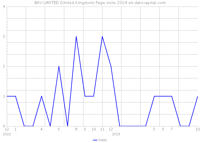 BAV LIMITED (United Kingdom) Page visits 2024 