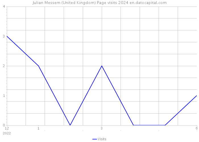 Julian Messem (United Kingdom) Page visits 2024 