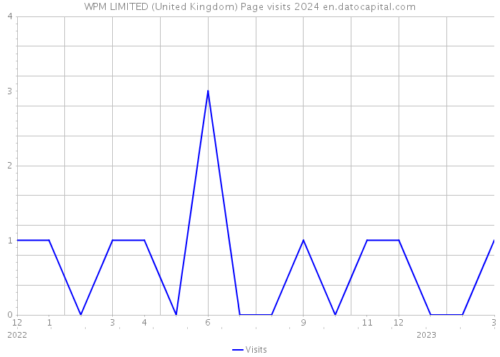 WPM LIMITED (United Kingdom) Page visits 2024 