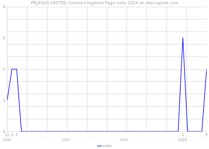 PELAGUS LIMITED (United Kingdom) Page visits 2024 