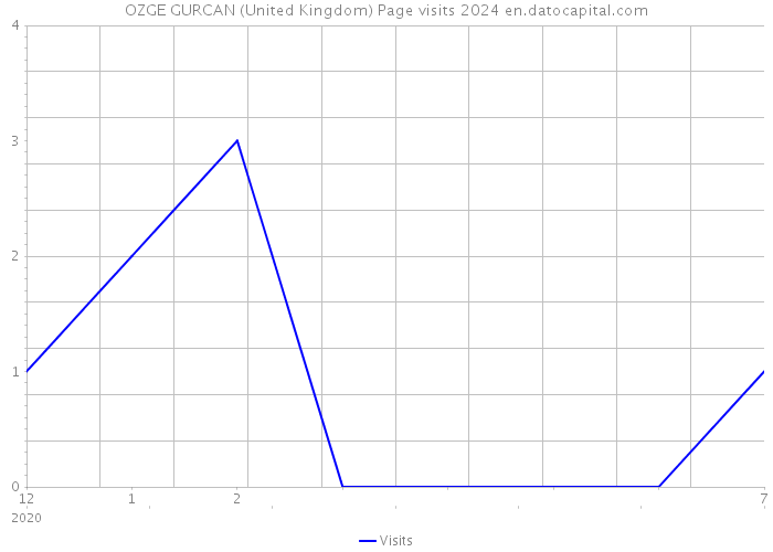 OZGE GURCAN (United Kingdom) Page visits 2024 