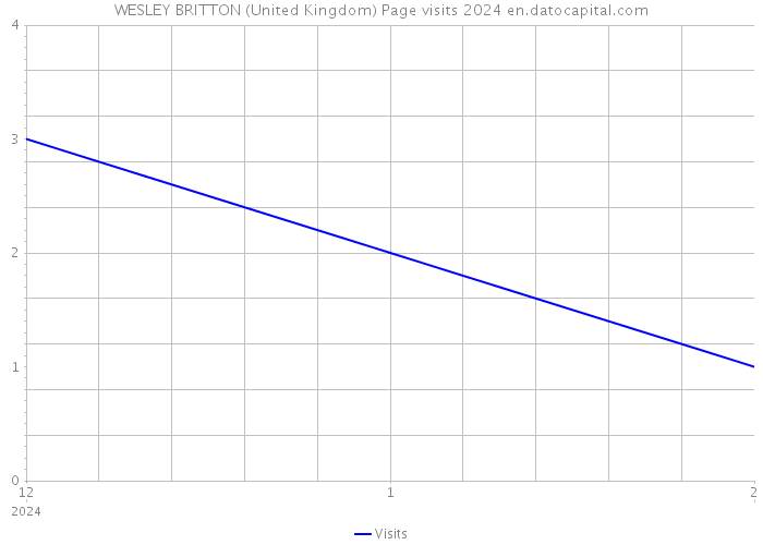 WESLEY BRITTON (United Kingdom) Page visits 2024 