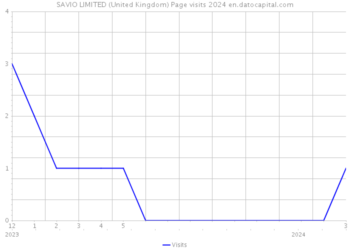 SAVIO LIMITED (United Kingdom) Page visits 2024 