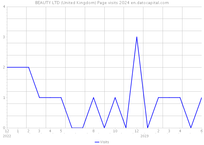 BEAUTY LTD (United Kingdom) Page visits 2024 