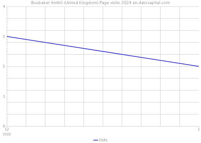 Boubaker Amhil (United Kingdom) Page visits 2024 