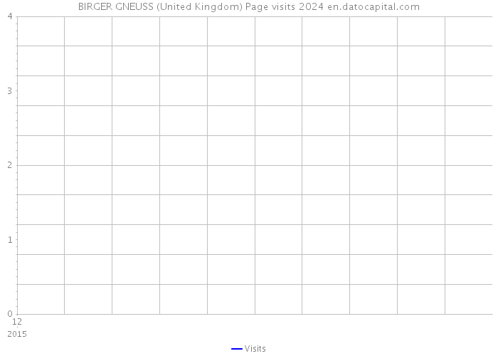 BIRGER GNEUSS (United Kingdom) Page visits 2024 