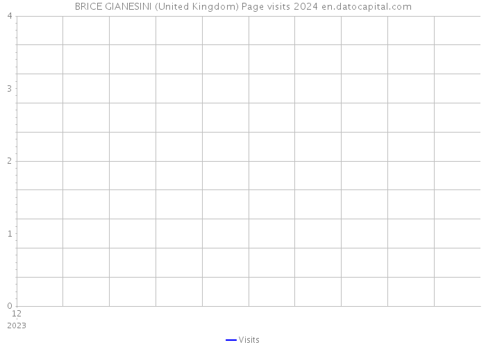 BRICE GIANESINI (United Kingdom) Page visits 2024 