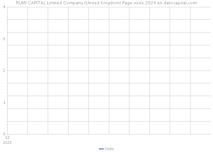 RUMI CAPITAL Limited Company (United Kingdom) Page visits 2024 