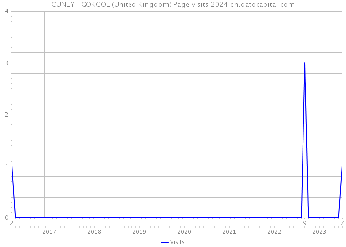 CUNEYT GOKCOL (United Kingdom) Page visits 2024 