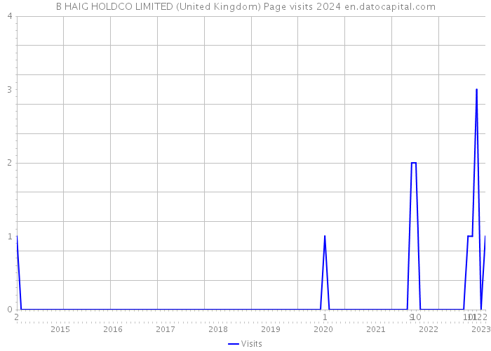 B HAIG HOLDCO LIMITED (United Kingdom) Page visits 2024 