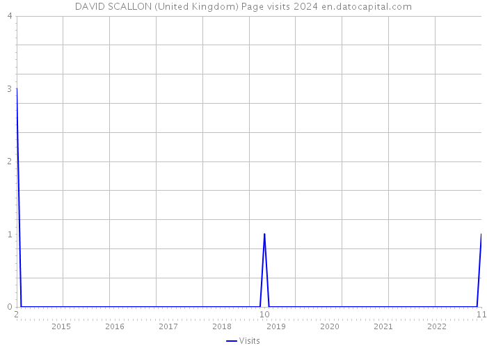 DAVID SCALLON (United Kingdom) Page visits 2024 