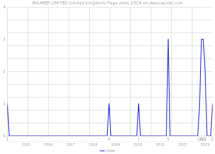BAUMER LIMITED (United Kingdom) Page visits 2024 