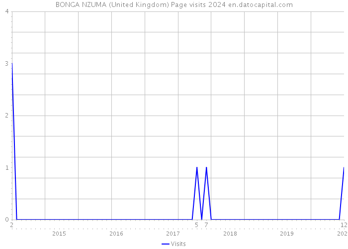 BONGA NZUMA (United Kingdom) Page visits 2024 