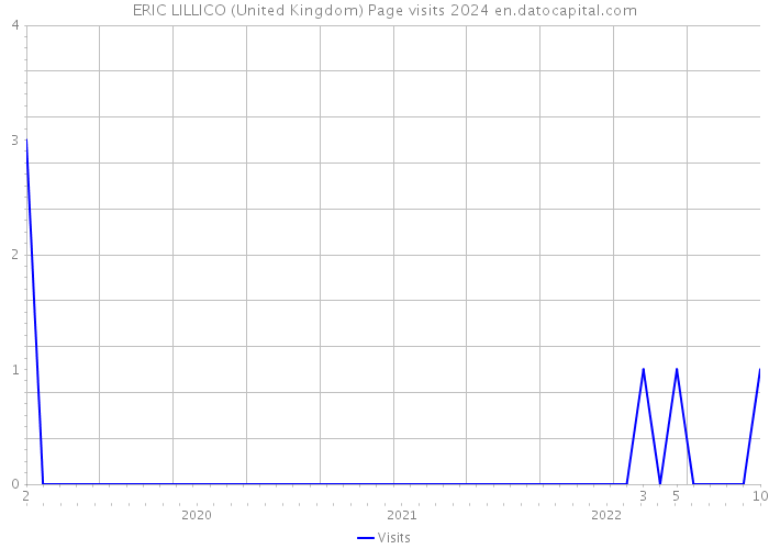ERIC LILLICO (United Kingdom) Page visits 2024 