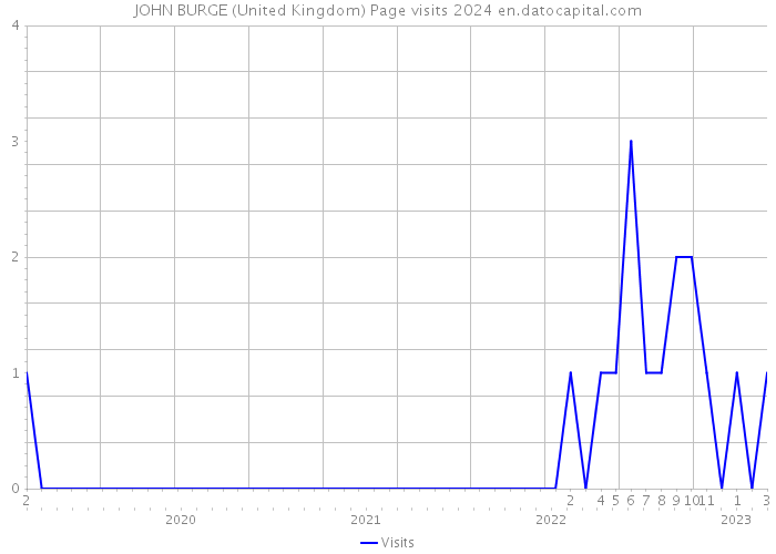 JOHN BURGE (United Kingdom) Page visits 2024 