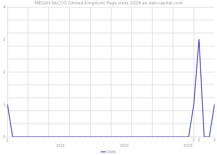 MEGAN SACCO (United Kingdom) Page visits 2024 