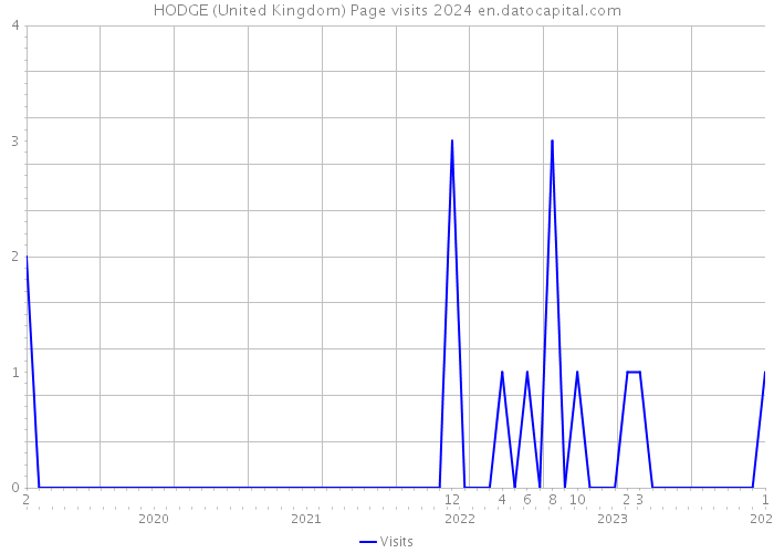 HODGE (United Kingdom) Page visits 2024 