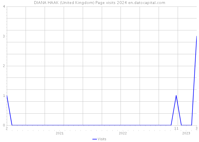 DIANA HAAK (United Kingdom) Page visits 2024 